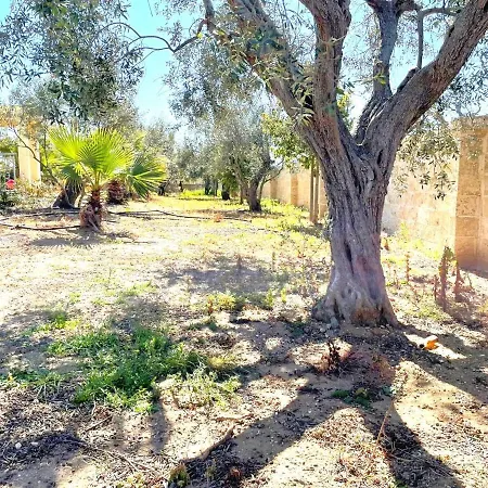 Apartment Al Nanni *